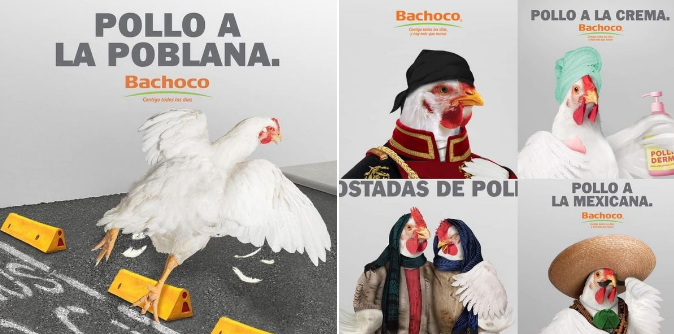 Bachoco 38 Años de publicidad creativa - Revista de Mercadotecnia y  Publicidad