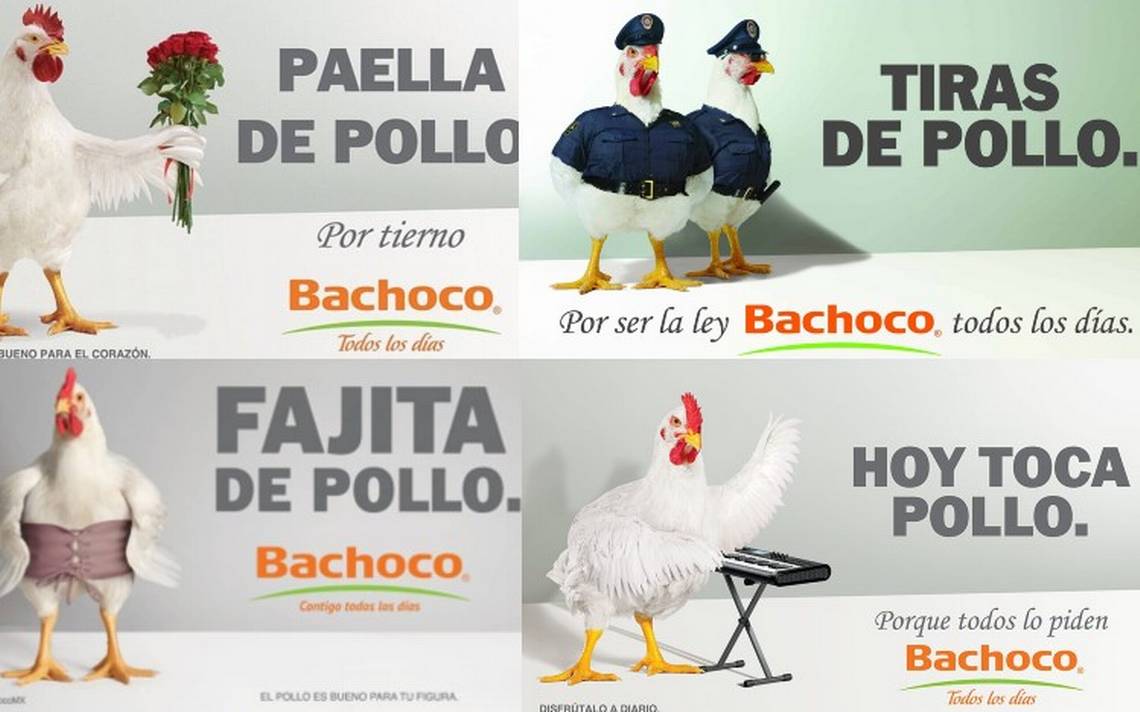 Publicidad Bachoco