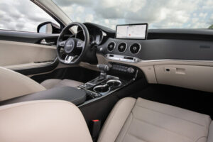 Interior Stinger 